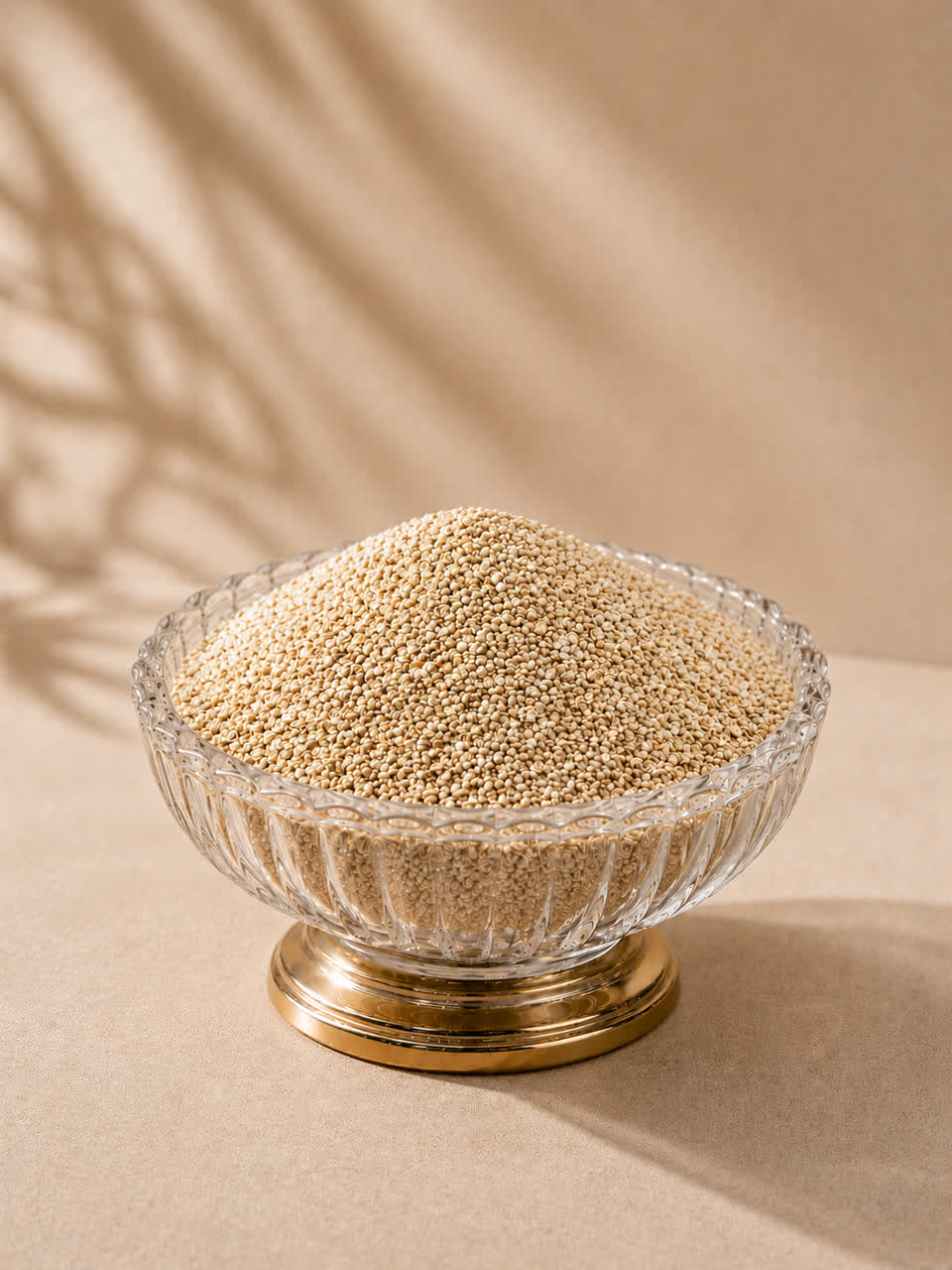 دانه کینوا اسپانیایی